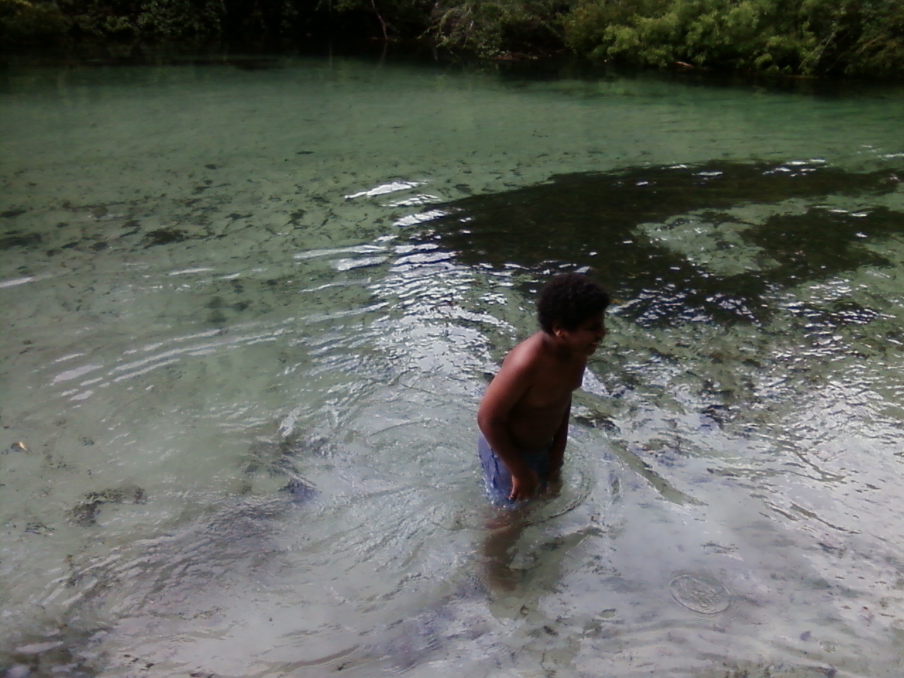Happy pre-teen boy swimming with manatee in Central Florida