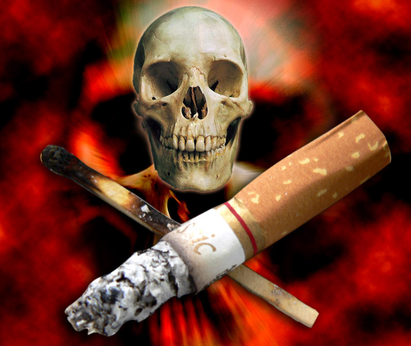 essay on harmful effects of tobacco