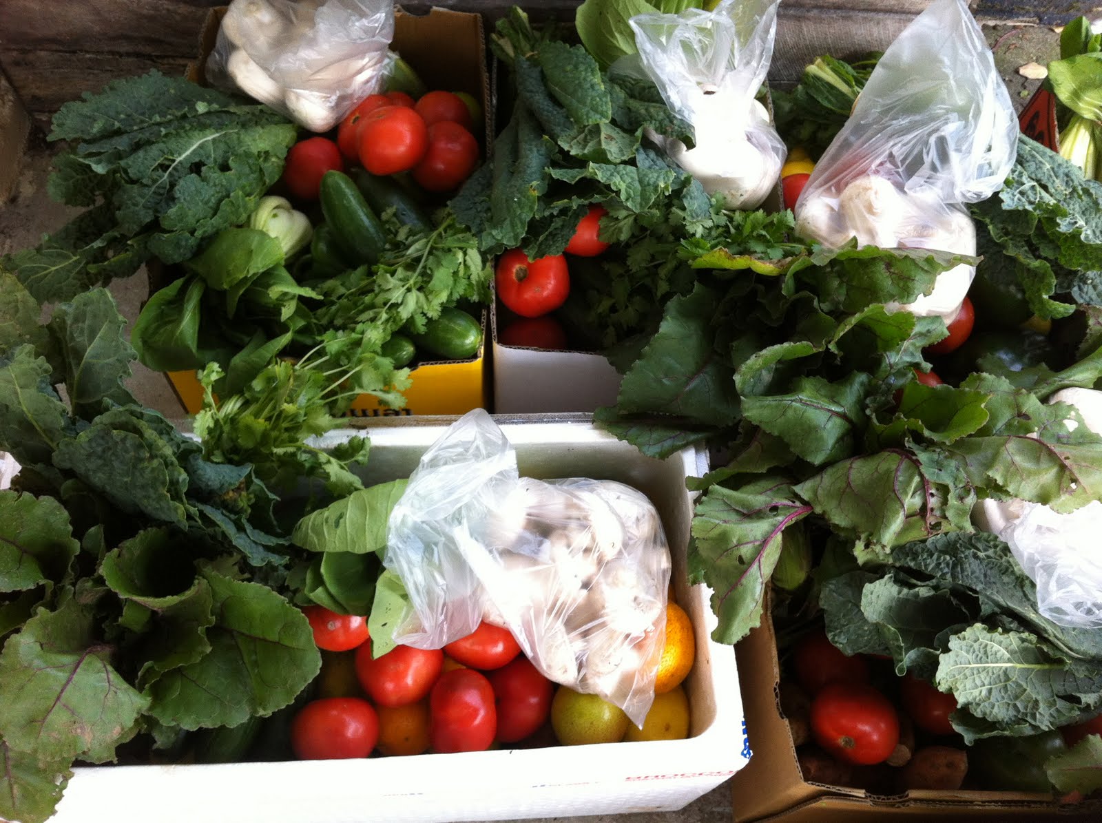 Lilyfield Life Cheap Fresh Seasonal Fruit and Vegetables. Join a Vegie