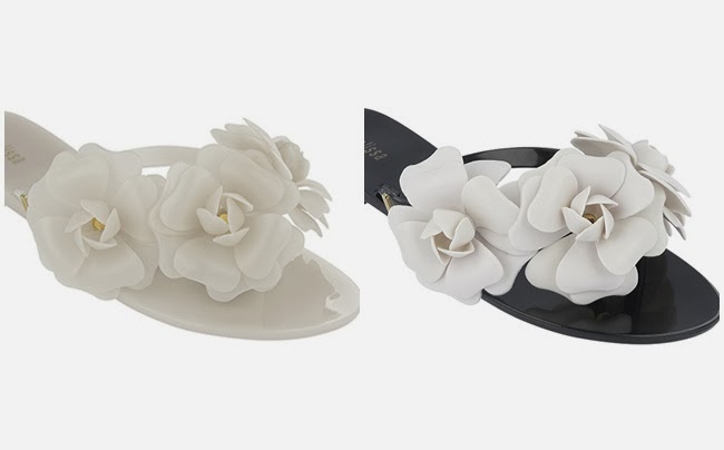 rasteirinha melissa flor