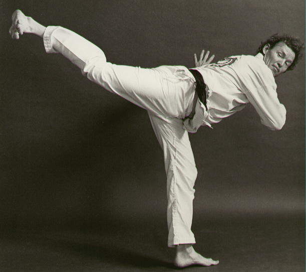 Martial Arts Revolution The different Taekwondo Kicks
