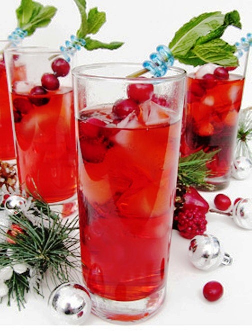 The Bestest Recipes Online Cranberry Gin Fizz
