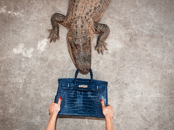 Celebrity photographer Tyler Shields Feeds $100,000 Crocodile Skin