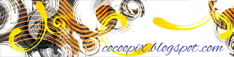 cocoopix.blogspot.com