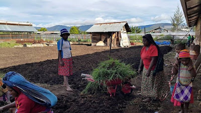 Gotong royong masyarakat papua