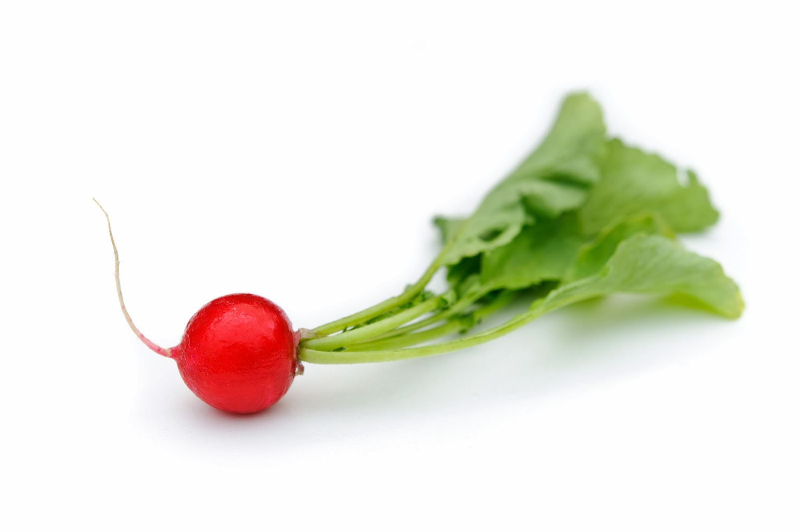 weight loss for a healthy lifestyle HEALTH BENEFITS OF RADISHES