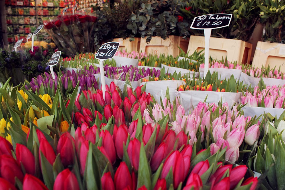 bernard de la villardière prostituée