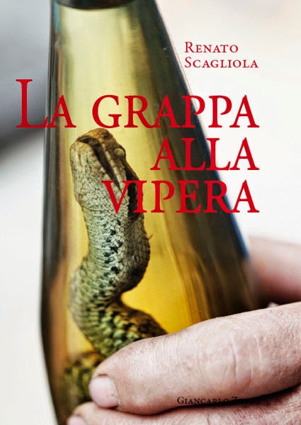 Bizzarrie dalle cucine del mondo... La Grappa alla vipera | BRICIOLE DI  SAPORI