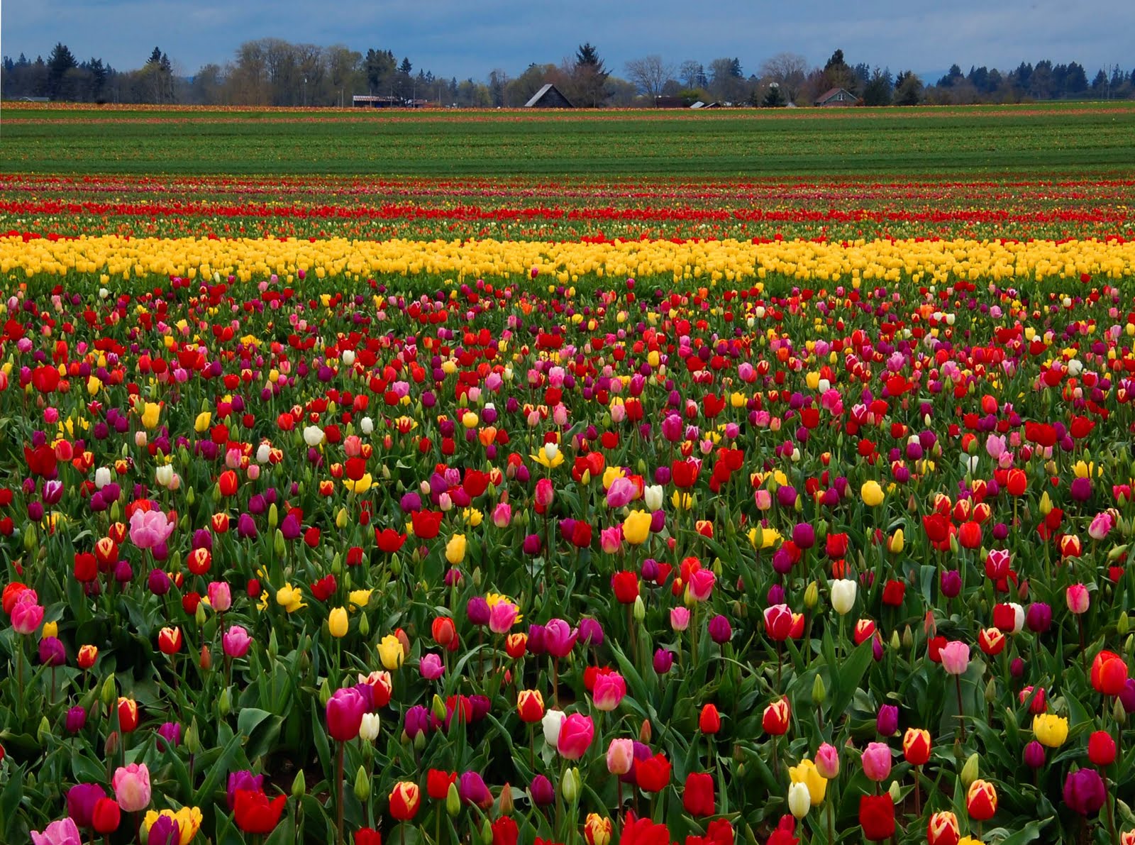 Salem, Oregon Daily Photo Diary Photographers Dream