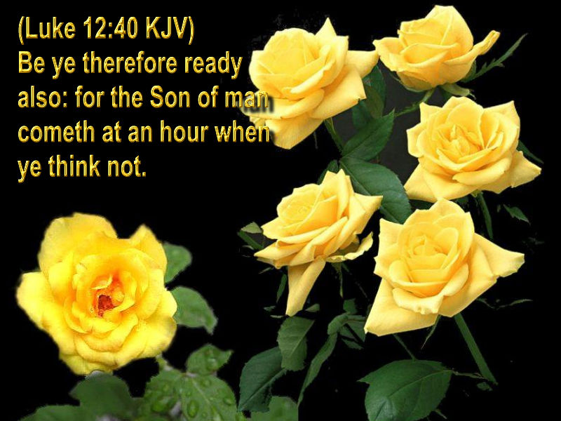 Flower Bible Quotes. QuotesGram