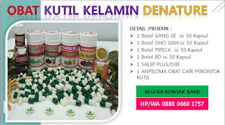 OBAT KUTIL KELAMIN ATAU KONDILOMA AKUMINATA ATAU JENGGER AYAM