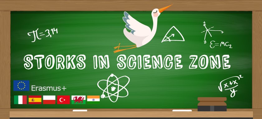 Storks in science zone