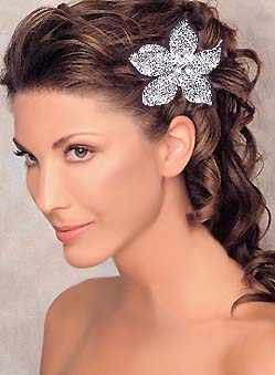 Wedding Hairstyles With Veil Wedding Hair Accessories