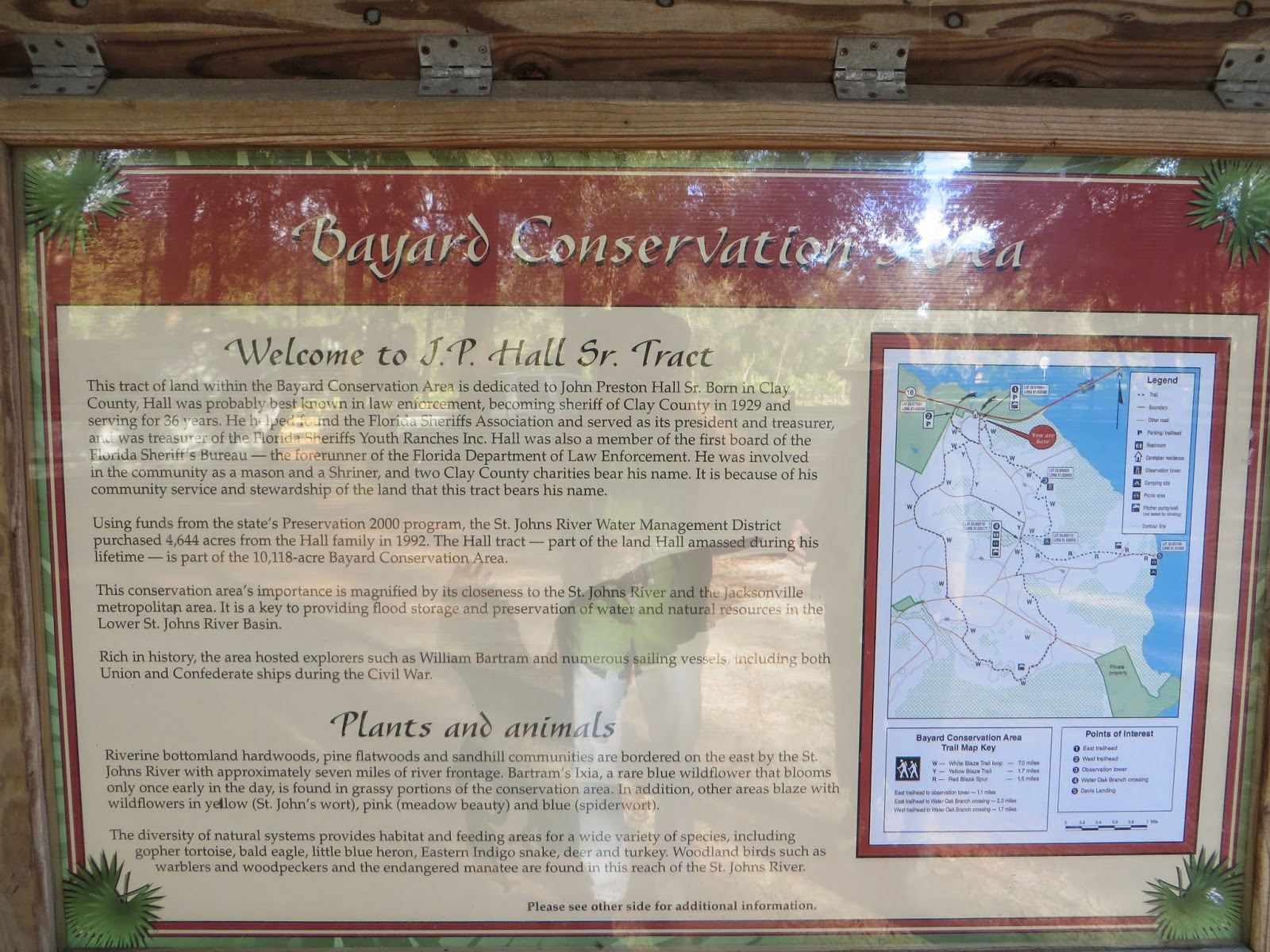 Nature Is Real Bayard Conservation Area