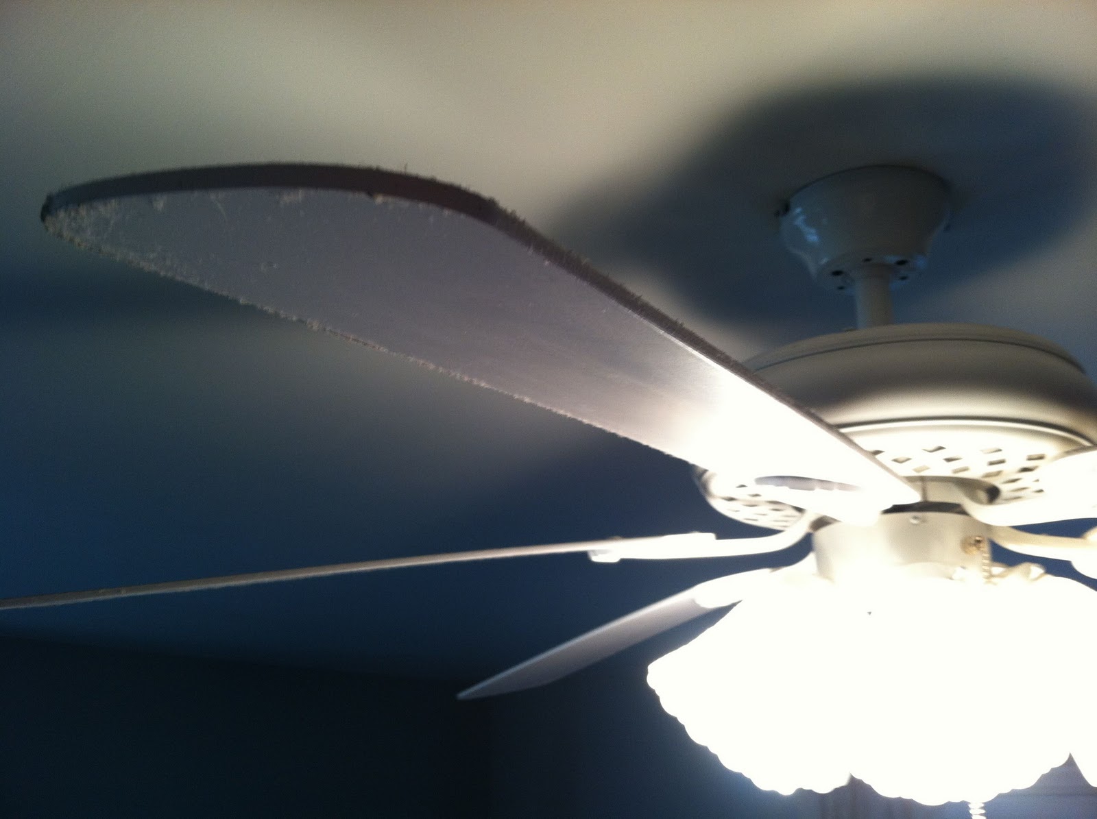 Sweetness of the Everyday airing my dirty fan blades