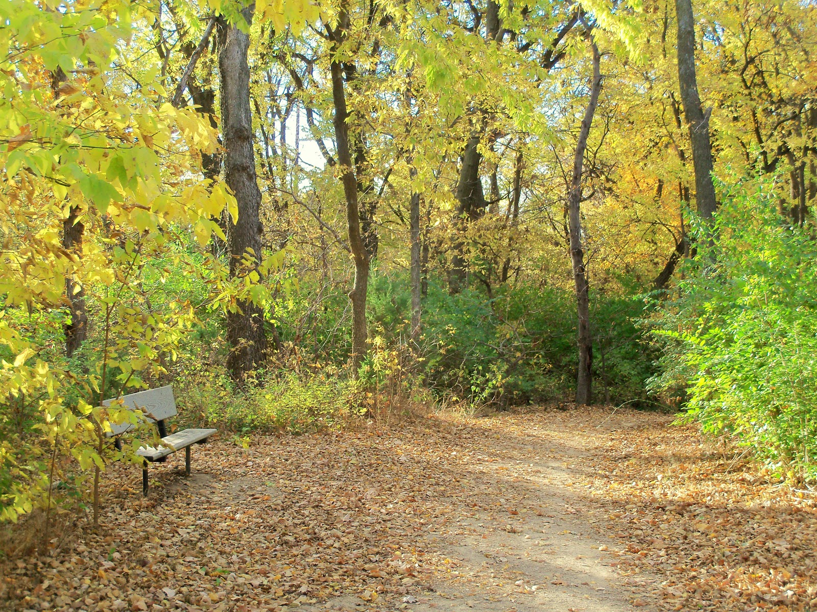 Kim's County Line: Anne Got It Right