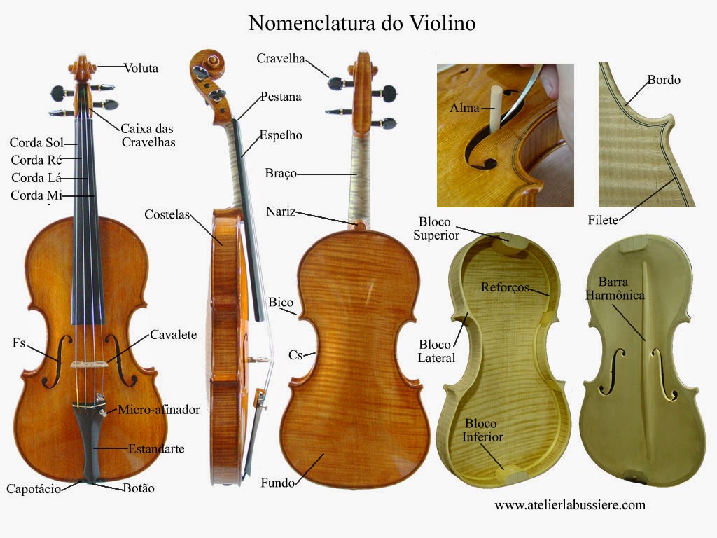 Il Gattopardo IL VIOLINO