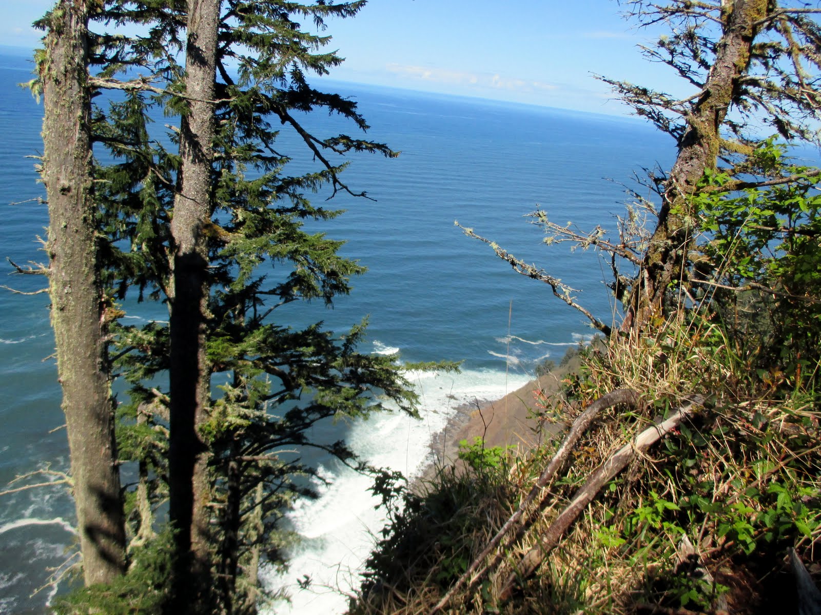 Journeys Seaside to Cannon Beach, Oregon Hiking