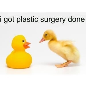 funny-picture-duck-plastic-surgery.JPG