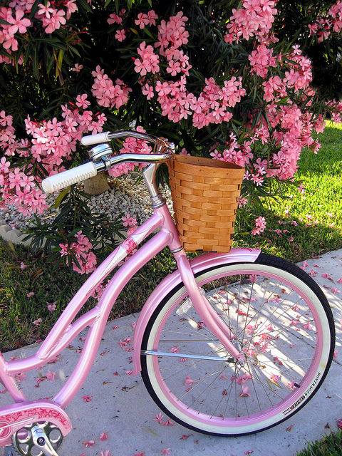 Ride in Pink