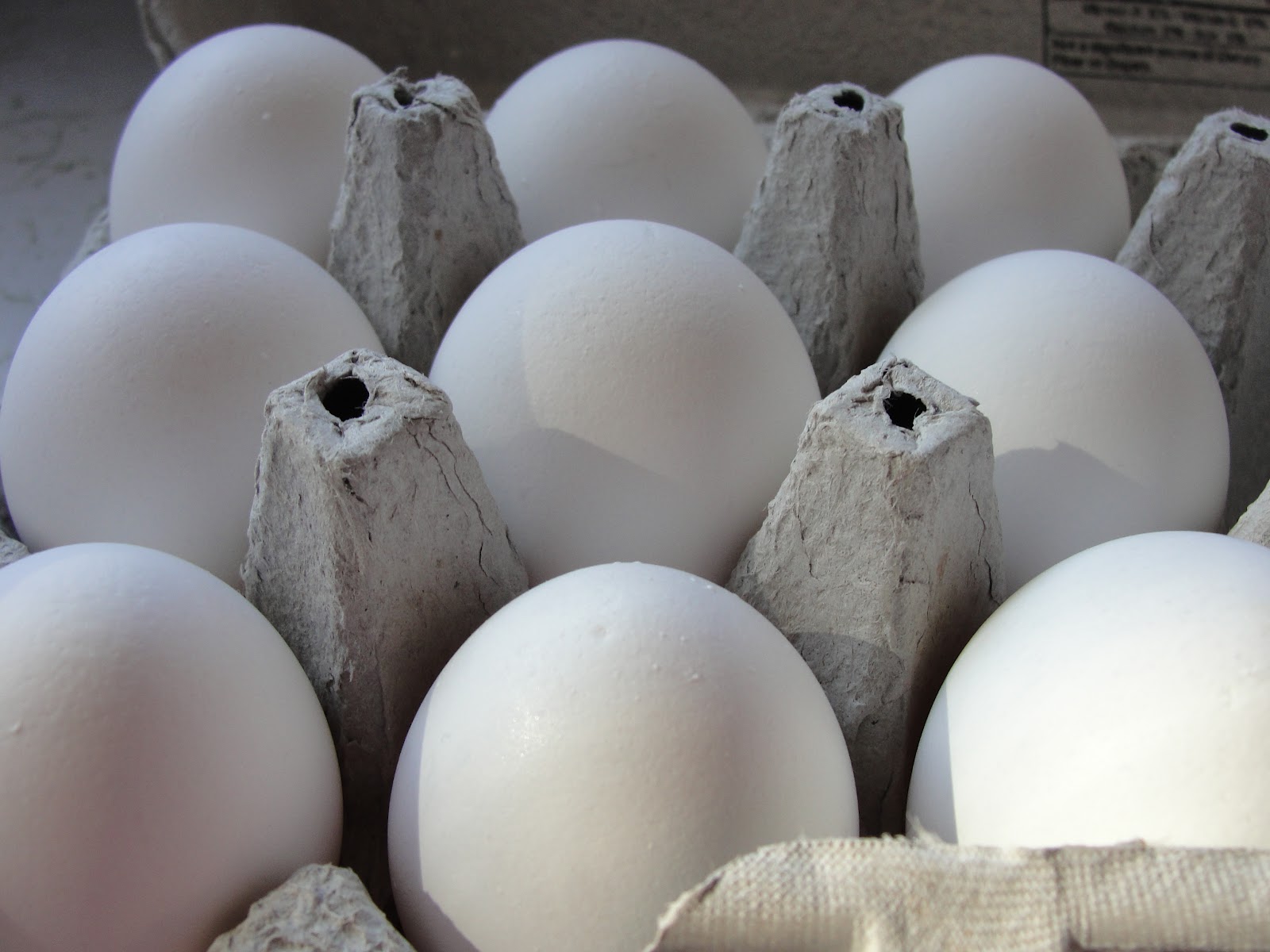 Healthy Family Cookin' Monday Meet Whole Foods Eggs!
