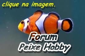 Nosso Forum.