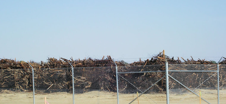 Wooden Supports for Grapes