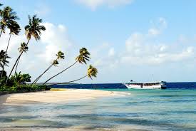 Wakatobi Keindahan Yang Mengagumkan di Sulawesi Tenggara Wakatobi Keindahan Yang Mengagumkan di Sulawesi Tenggara