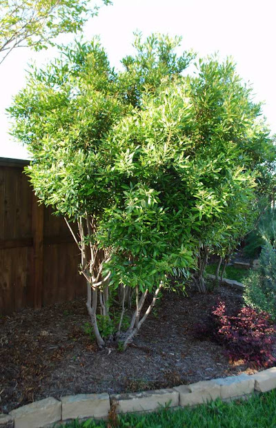 centerpointe communicator landscaping