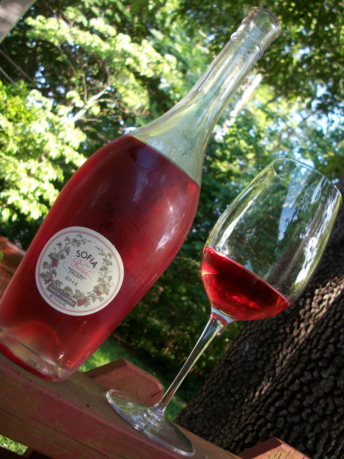 Gilbert Spills It Wine Review 2012 Coppola Sofia Rose'