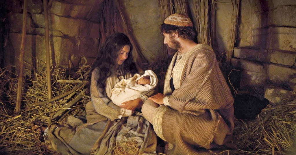 Time in the Vineyard The Stable