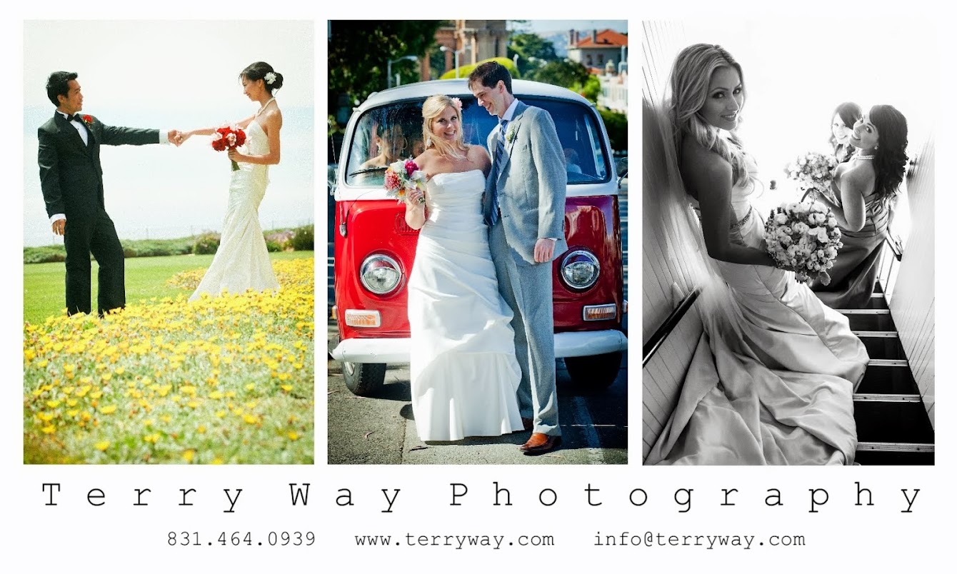 Terry Way Photography Santa Cruz Photographer