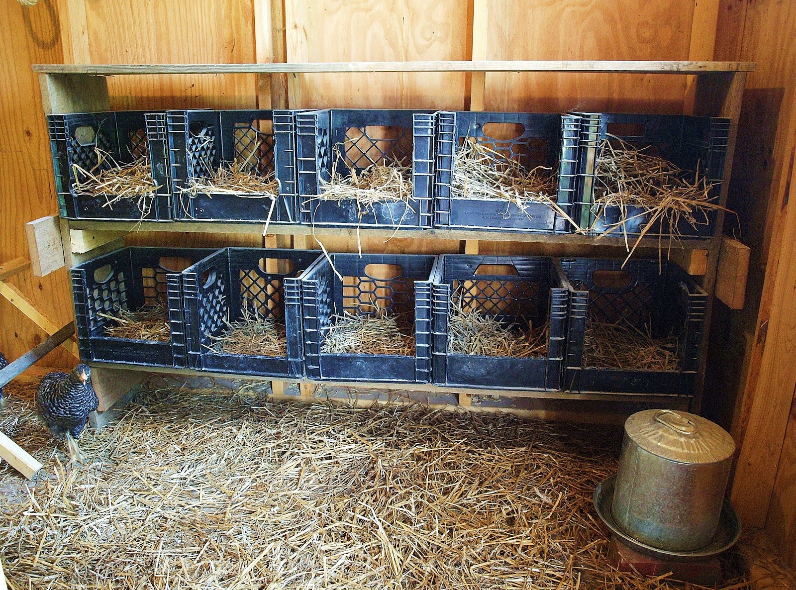 nesting boxes, 2 rows of 5, with a potential to add an additional 5