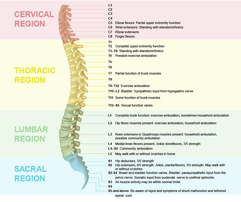 What is the life expectancy for spinal bifida?