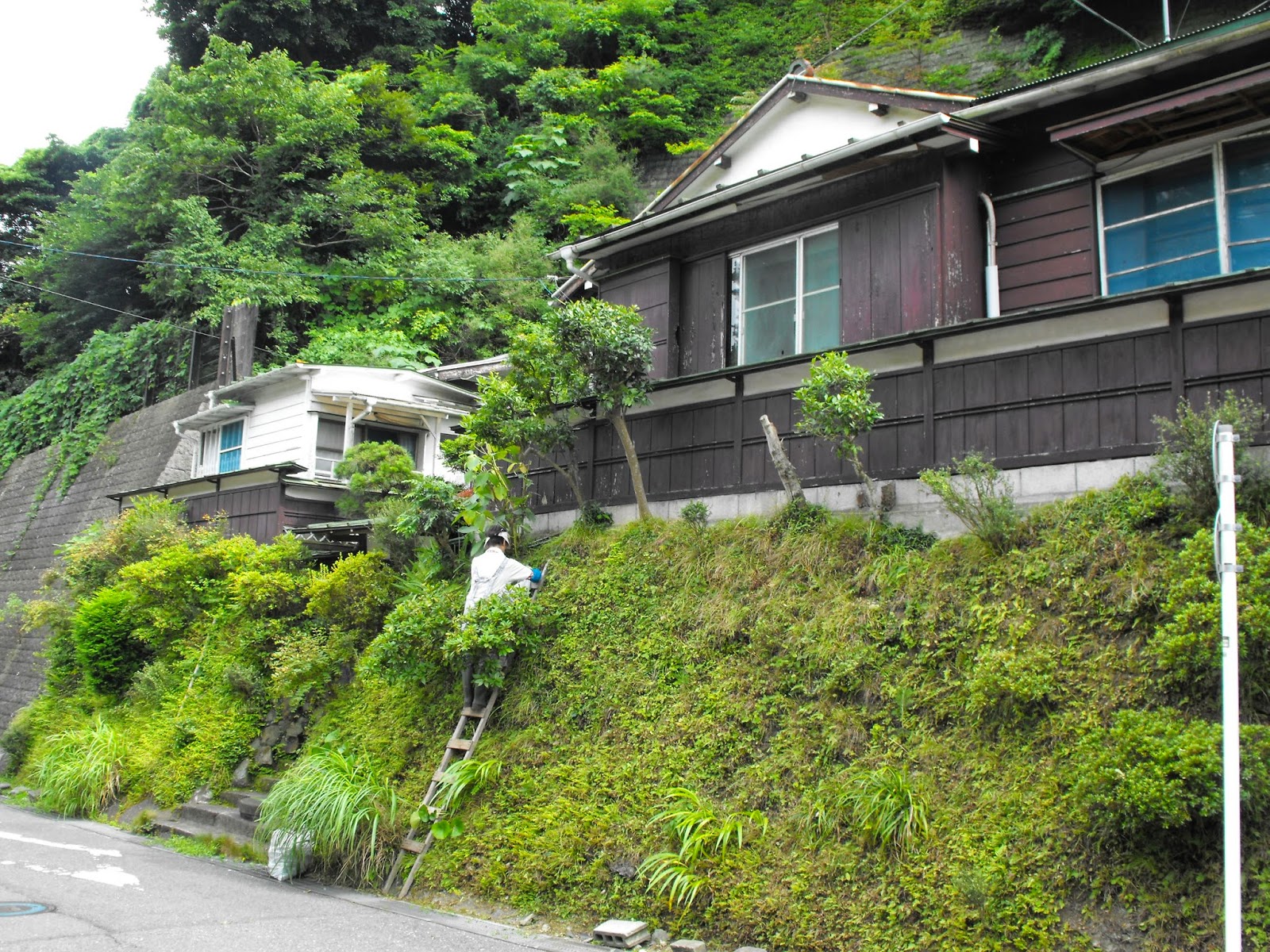 Tseline Pottery Class in Japan (Kamakura) 2 the glaze
