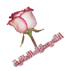 انيقات