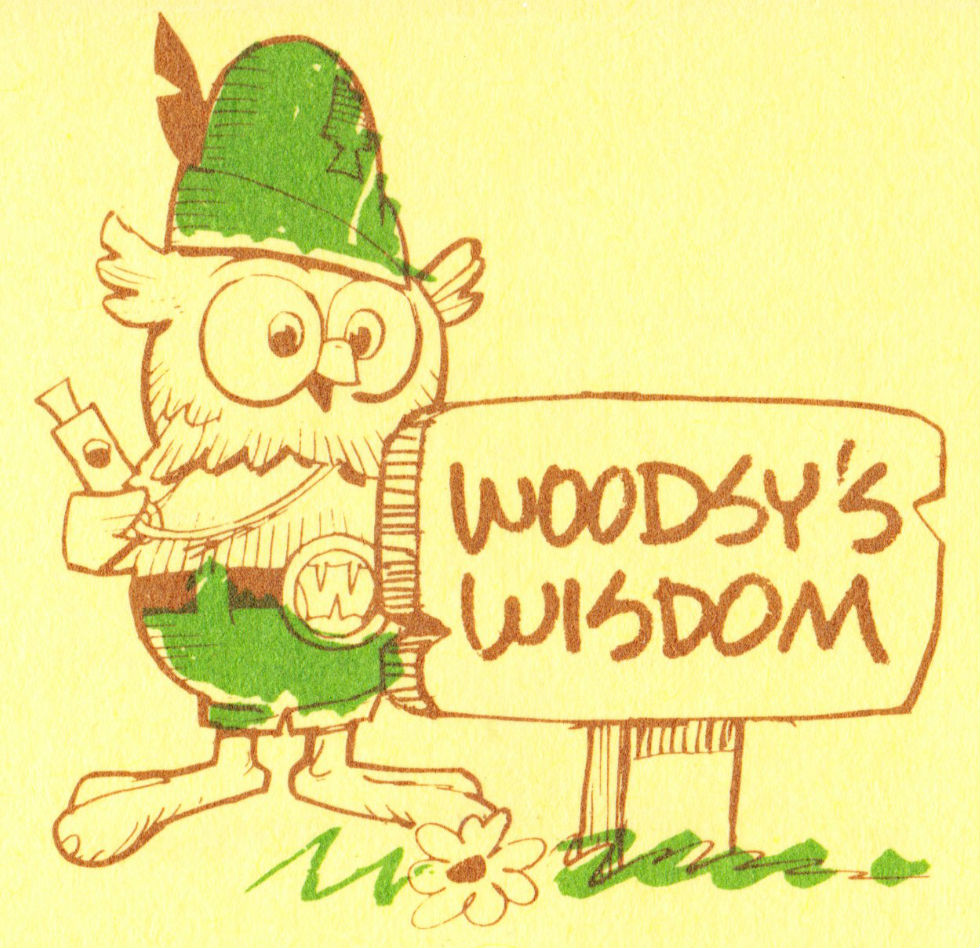 Papergreat 1970s Woodsy Owl bookmark "Give a Hoot! Don't Pollute."