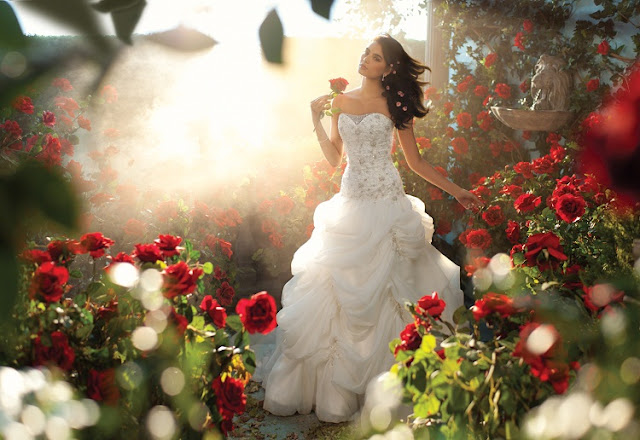 The 2013 Alfred Angelo Disney Fairy Tale Wedding Gowns - Belle