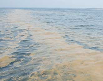 Sea Pollution Image - Sea pollution due to oil in Montara, Montara sea pollution