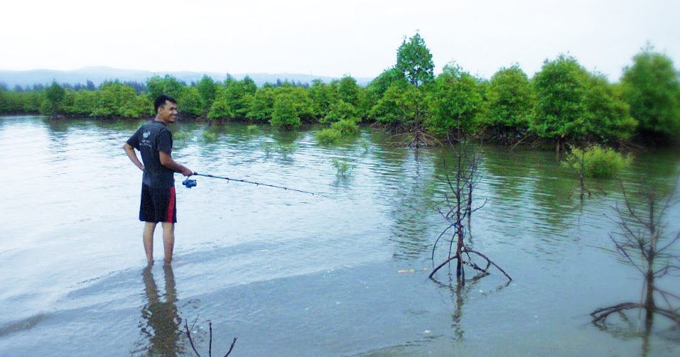 APA ITU TEKNIK CASTING ~ MERAHMATA FISHING