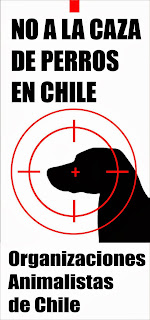 Organizaciones Animalistas de Chile