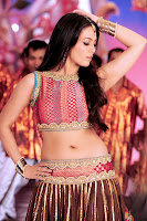 Bollywood and Tollywood acress,hot, sexy, Sana, Khan, navel show