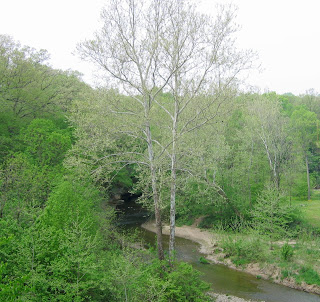 Love our world Love our world