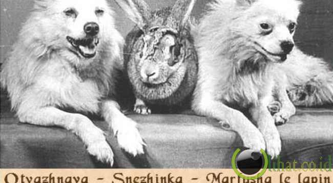 Otvazhnaya, Snezhinka dan Marfusha Otvazhnaya, Snezhinka dan Marfusha