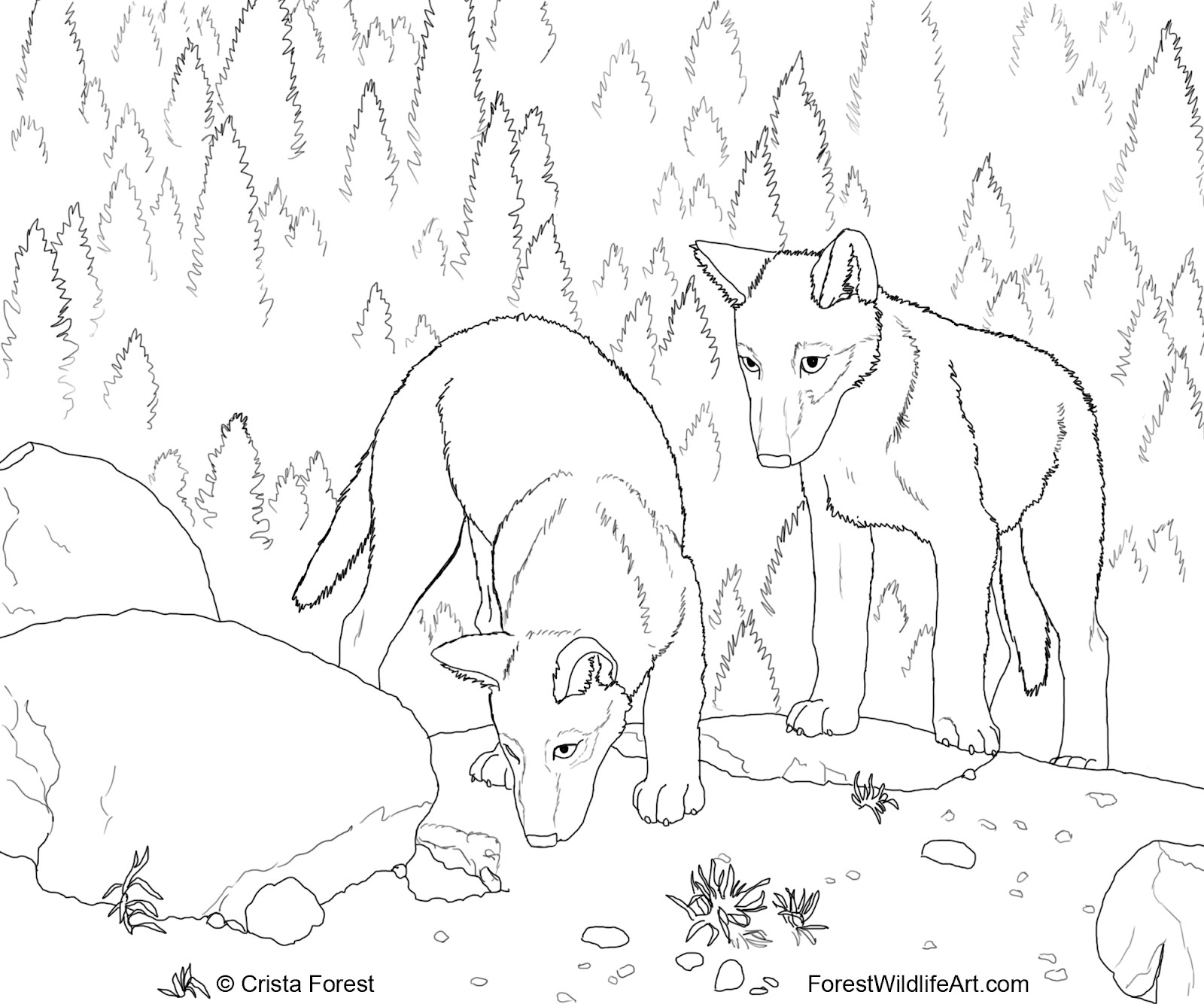 Crista Forest's Animals & Art: Wolf Pups Coloring Book Page