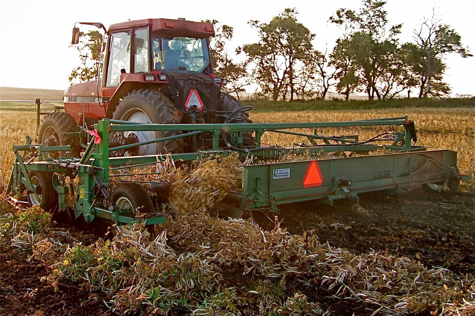 Pinto Bean Harvest Farmer Bloggers