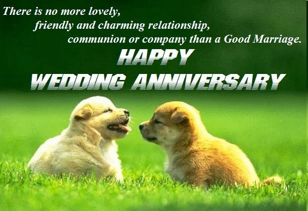 Delightful And Super Wedding Anniversary Wishes