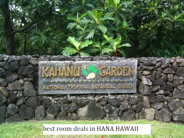 On the rugged Hāna coast, along the far eastern shores of the Hawaiian island of Maui, Kahanu Garden grows in splendid isolation. Kahanu Garden is a 294-acre (119 ha) botanical garden located on the Hāna Highway (close to the 31-mile / 50 km marker) near Hāna, Maui, Hawaiʻi.Part of the National Tropical Botanical Garden System, Kahanu Gardens is filled with 123 acres of tropical plants, including more than 120 varieties. Kahanu Garden in Hana serves as the guardian for an important archaeological site, the enormous, centuries old stone temple known as Pi'ilanihale Heiau.Kahanu Garden on Maui is part of the National Tropical Botanical Garden system. The breadfruit collection, located at the National Tropical Botanical Garden's (NTBG) Kahanu Garden, Maui. National Tropical Botanical Garden is dedicated to preserving tropical plant diversity and stemming this tide of extinction - through plant exploration, propagation. National Tropical Botanical Garden and its gardens are located in the only tropical climate zones in the United States. A tour of any of NTBG's five stunning gardens is an experience that will long be remembered.The National Tropical Botanical Garden is a group that sponors preservation of plants native to the tropics in a network of botanical gardens and preserves.