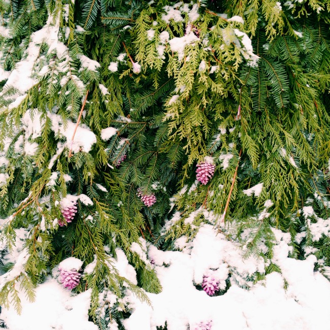 5 Ways To Stay Happy In The Winter La Petite Noob A Toronto