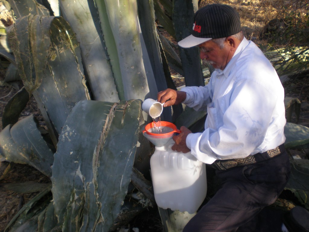 México a través de la mirada de una cubana Del Maguey Pulque, Mezcal